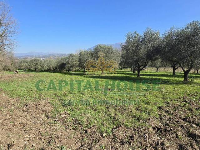 Terreno in vendita a Sant'Agata de' Goti BN
