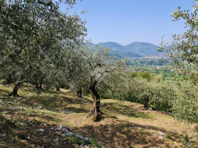 Terreno in vendita a Sant'Agata de' Goti BN