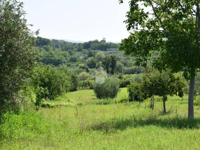Terreno in vendita a Sant'Agata de' Goti BN