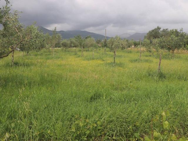 Terreno in vendita a Sant'Agata de' Goti BN