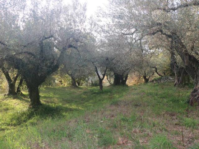 Terreno in vendita a Sant'Agata de' Goti BN
