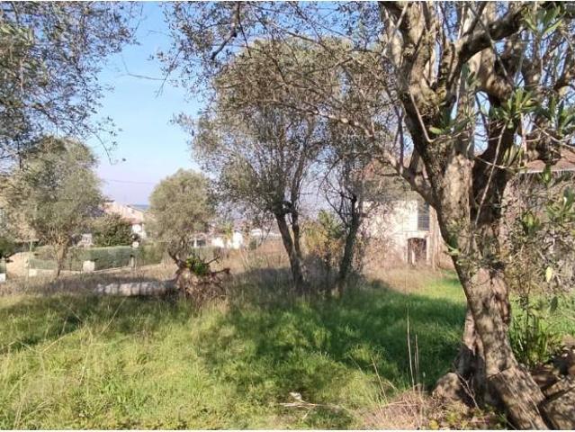 Terreno in vendita a Sant'Agata de' Goti BN