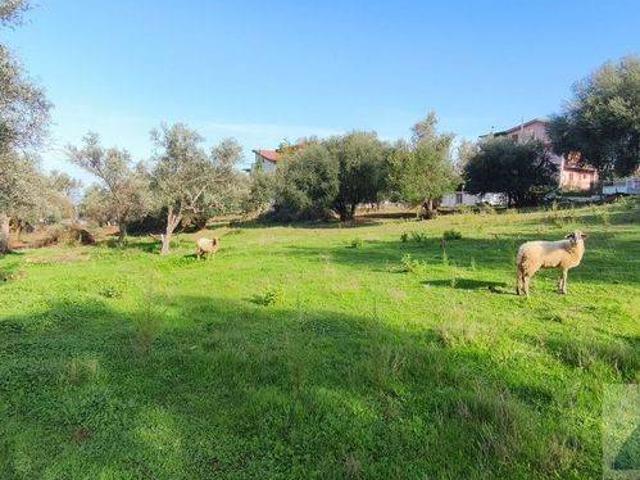 Terreno in vendita a Sant'Agata di Militello ME