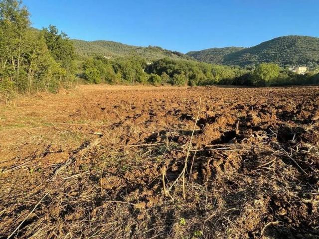 Terreno in vendita a Sant'Elia Fiumerapido FR