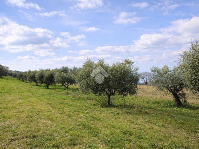 Terreno in vendita a Sant'Omero TE