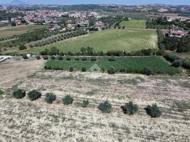 Terreno in vendita a Sant'Omero TE