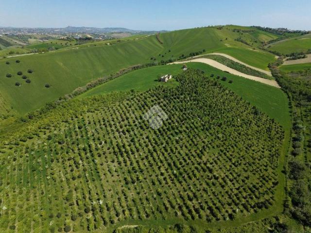Terreno in vendita a Sant'Omero TE