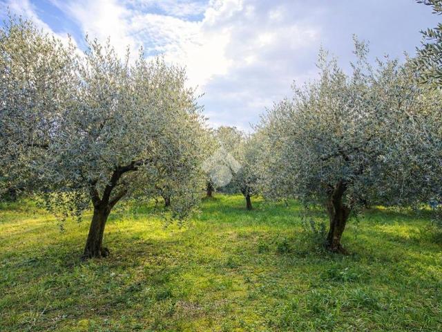 Terreno in vendita a Sant'Omero TE