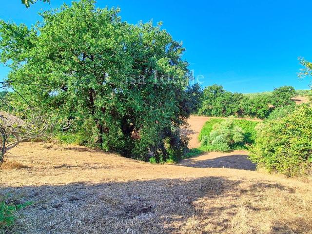 Terreno in vendita a Sant'Oreste RM