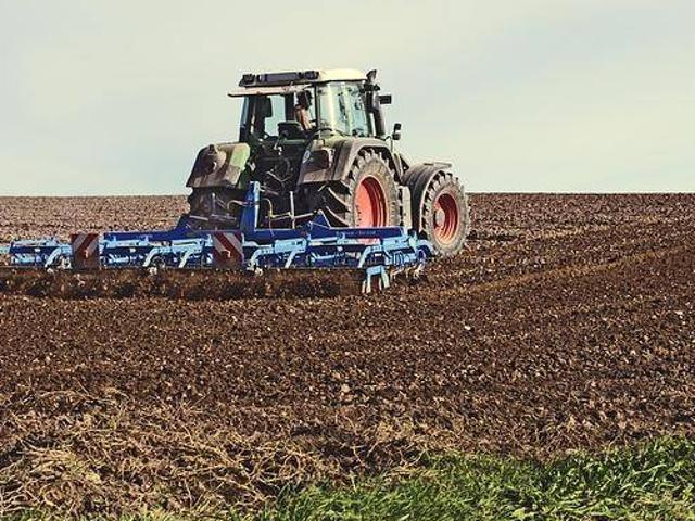 Terreno in vendita a Sant'Urbano PD