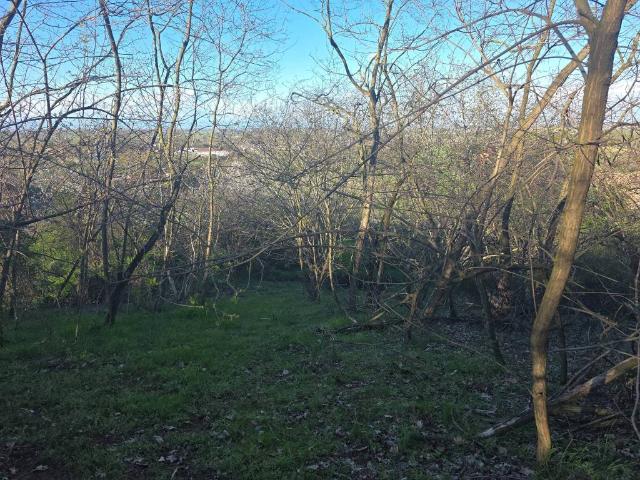Terreno in vendita a San Colombano al Lambro MI