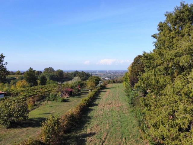 Terreno in vendita a San Colombano al Lambro MI