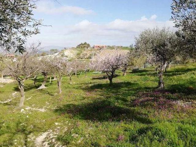 Terreno in vendita a San Cataldo CL