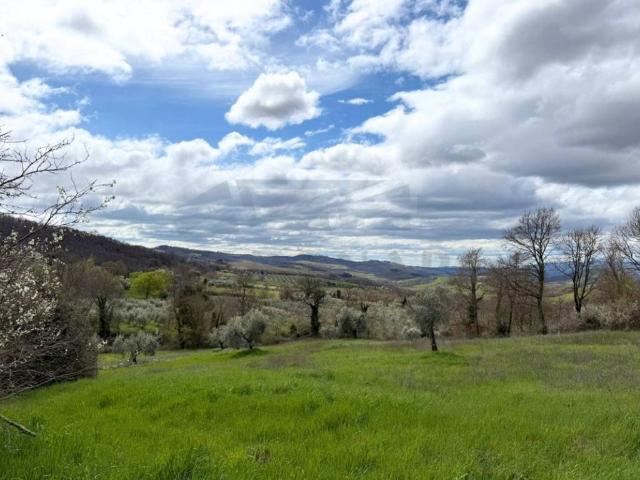 Terreno in vendita a San Casciano dei Bagni SI