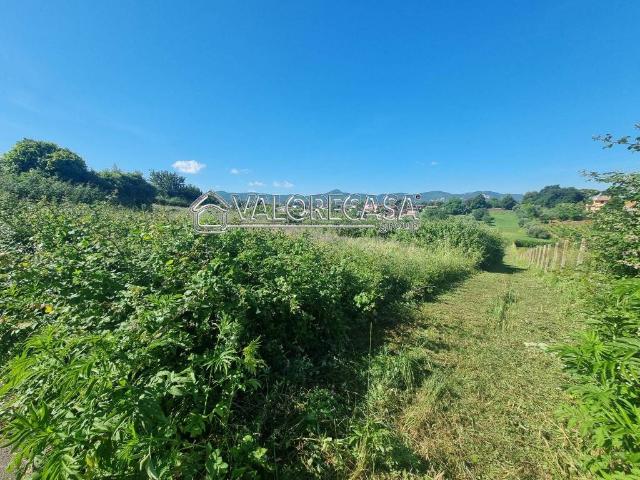 Terreno in vendita a San Cesareo RM