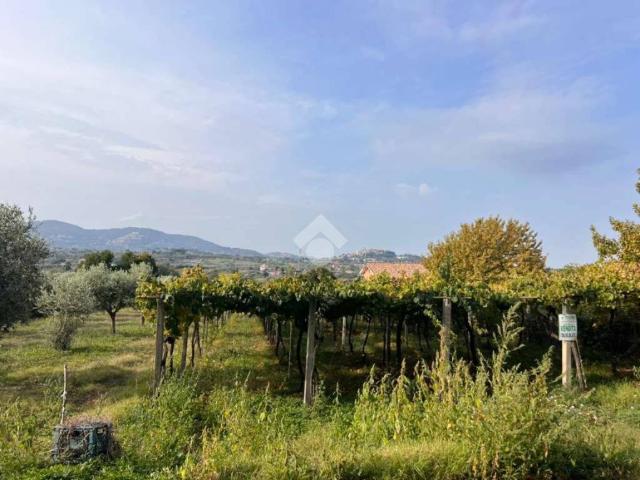 Terreno in vendita a San Cesareo RM