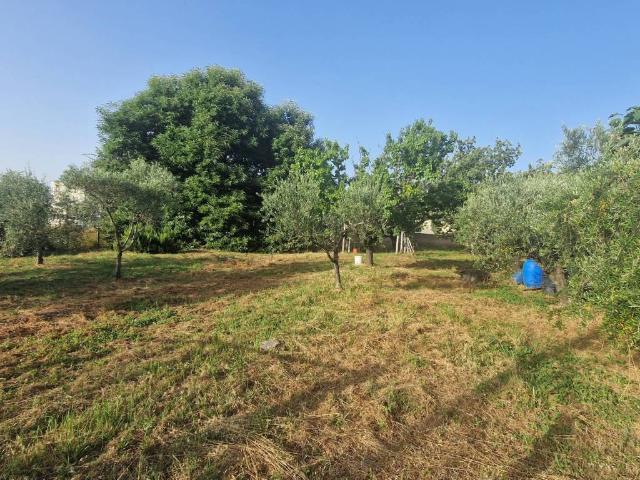 Terreno in vendita a San Cesareo RM