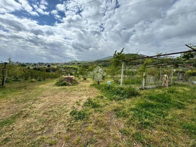 Terreno in vendita a San Cesareo RM