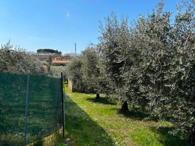 Terreno in vendita a San Cesareo RM