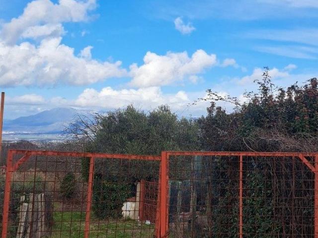 Terreno in vendita a San Cesareo RM