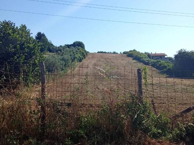 Terreno in vendita a San Cesareo RM