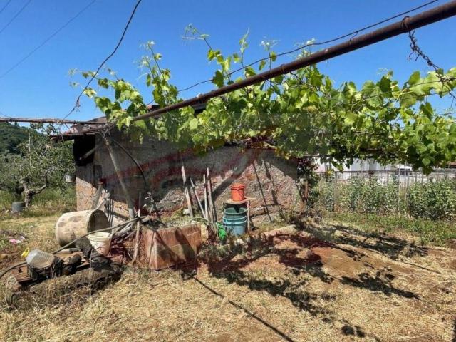 Terreno in vendita a San Cesareo RM