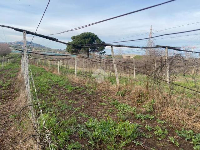 Terreno in vendita a San Cesareo RM