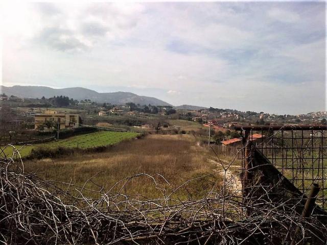 Terreno in vendita a San Cesareo RM