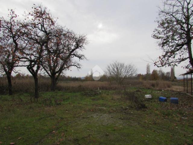 Terreno in vendita a San Cesario sul Panaro MO