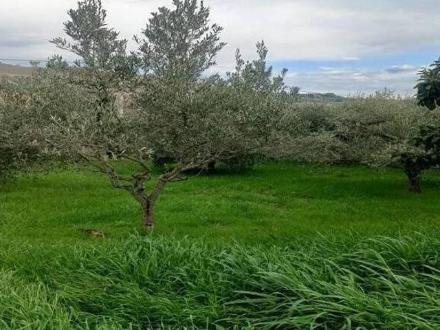 Terreno in vendita a San Benedetto del Tronto AP