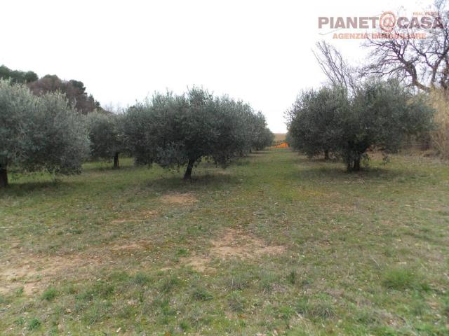 Terreno in vendita a San Benedetto del Tronto AP