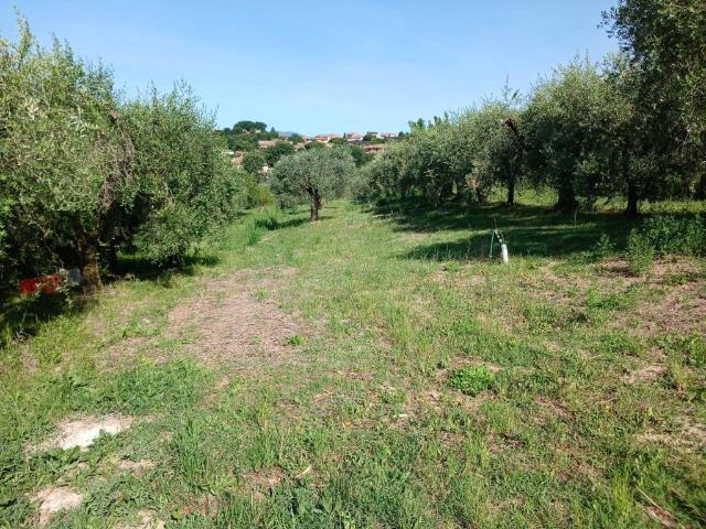 Terreno in vendita a San Gemini TR