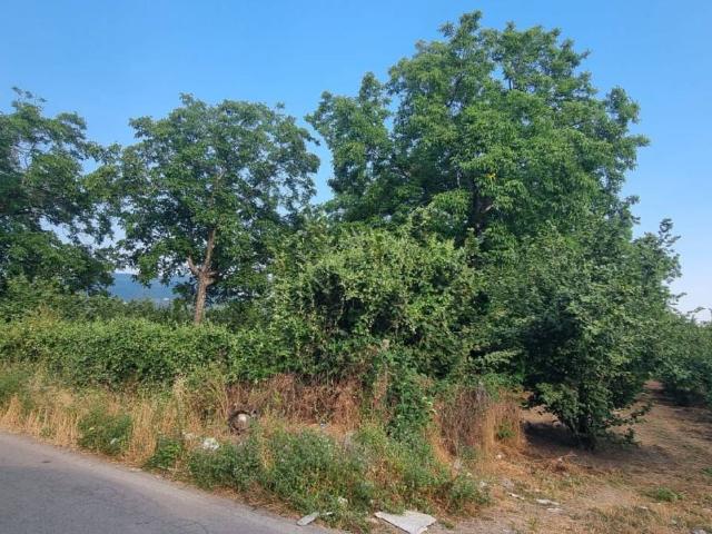 Terreno in vendita a San Gennaro Vesuviano NA