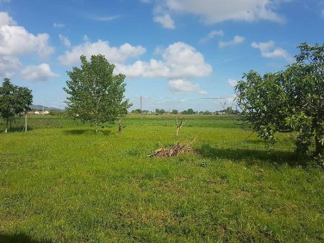 Terreno in vendita a San Giuliano Terme PI
