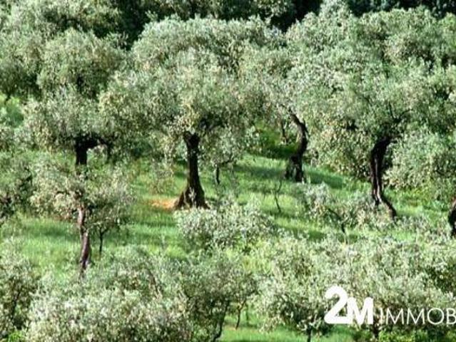 Terreno in vendita a San Giuliano Terme PI