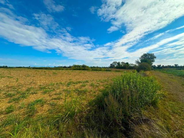 Terreno in vendita a San Giorgio di Nogaro UD