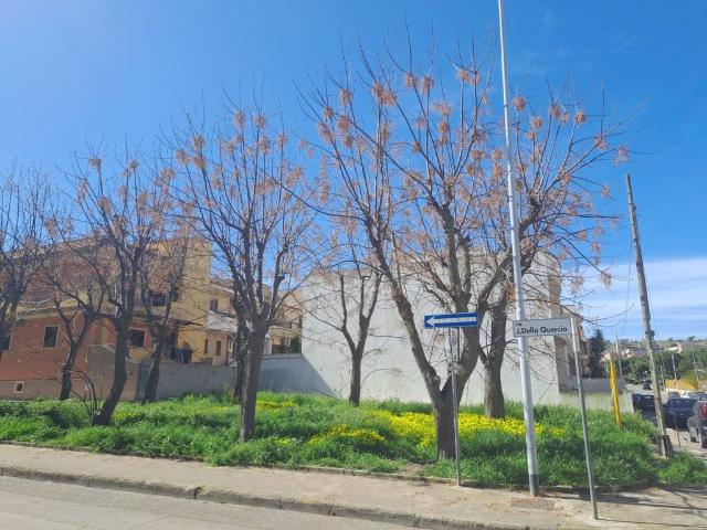 Terreno in vendita a San Giorgio Ionico TA