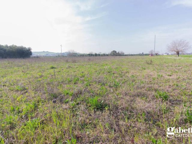 Terreno in vendita a San Giovanni in Marignano RN