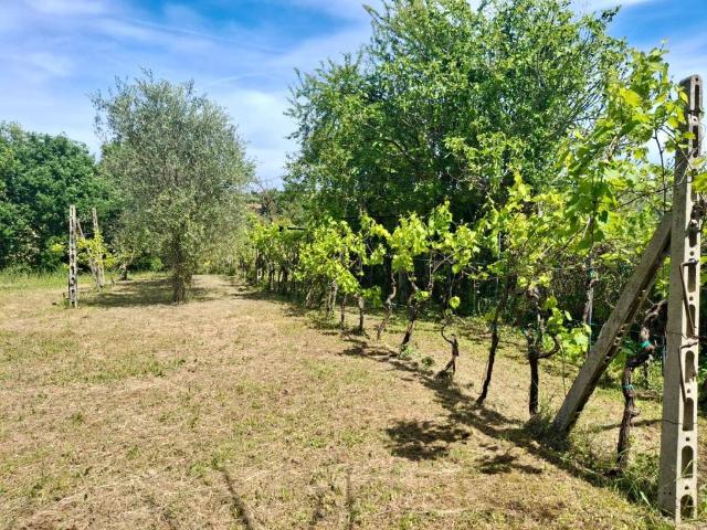 Terreno in vendita a San Giovanni in Marignano RN