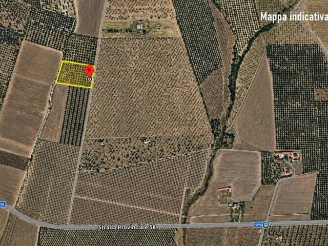 Terreno in vendita a San Giovanni Rotondo FG