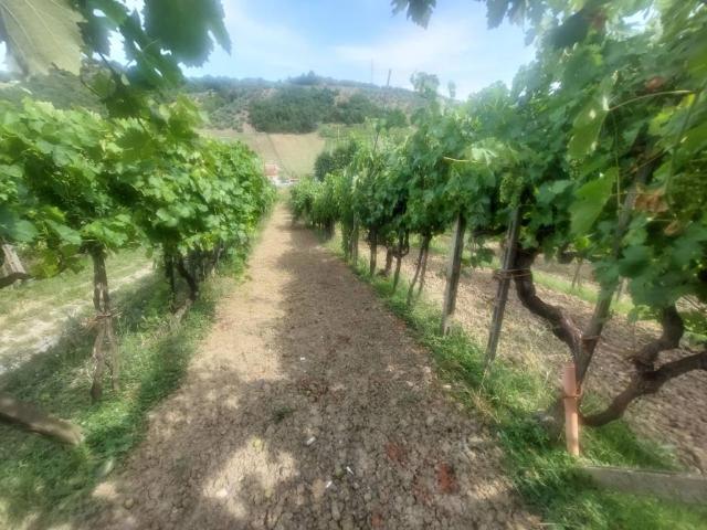 Terreno in vendita a San Giovanni Valdarno AR