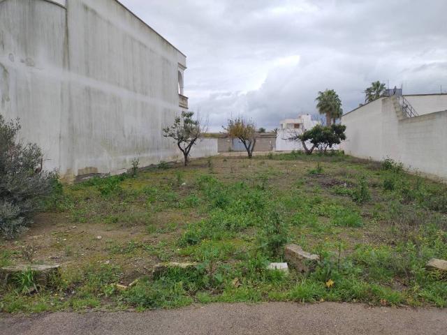 Terreno in vendita a San Donaci BR