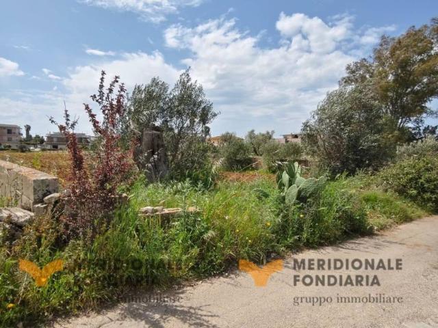 Terreno in vendita a San Donato di Lecce LE