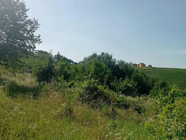 Terreno in vendita a San Damiano al Colle PV