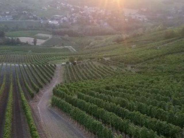 Terreno in vendita a San Damiano al Colle PV