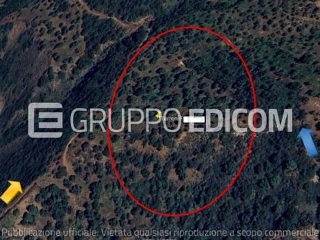 Terreno in vendita a San Mauro Castelverde Rif. 4548865