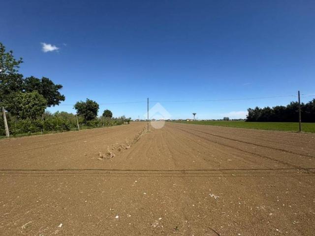 Terreno in vendita a San Mauro Pascoli FC