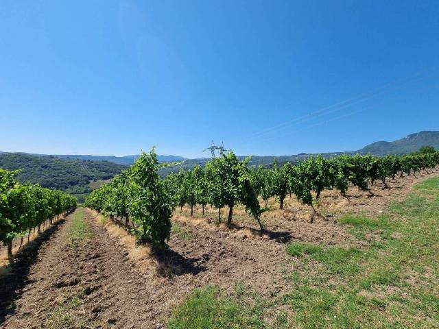 Terreno in vendita a San Mango sul Calore AV