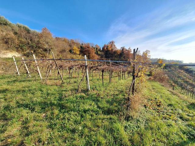 Terreno in vendita a San Martino Buon Albergo VR