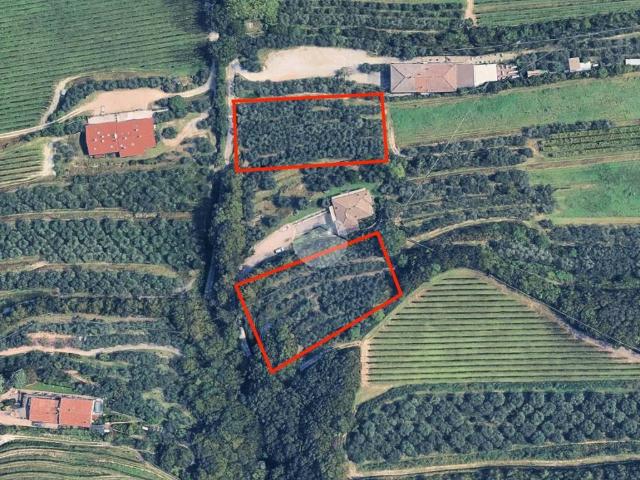 Terreno in vendita a San Martino Buon Albergo VR